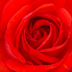 20160804_153607_61768.jpg