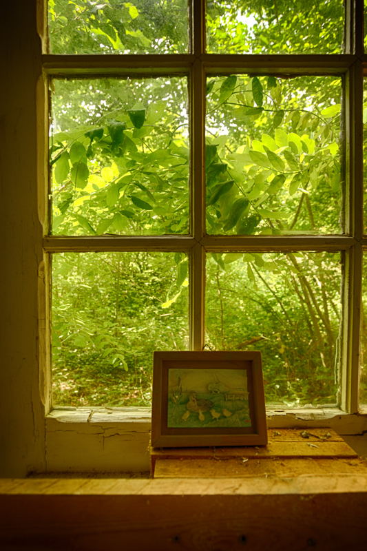 20150627_115006_40426_HDR.jpg