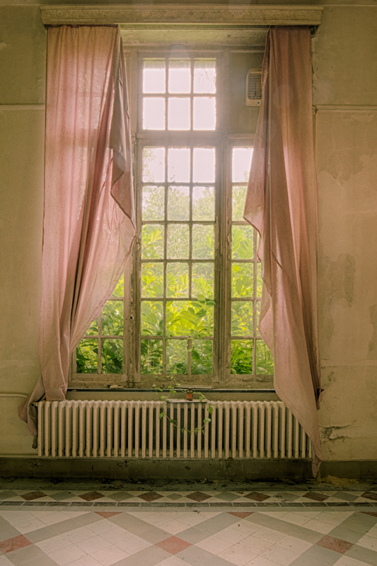 20150627_120221_40462_HDR.jpg