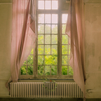 20150627_120221_40462_HDR.jpg