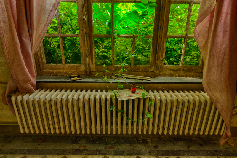 20150627_120827_40482_HDR.jpg