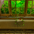 20150627_120827_40482_HDR.jpg