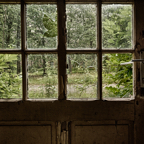 20150627_121332_40499_HDR.jpg