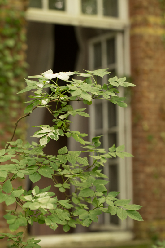 20150627_124652_40585.jpg