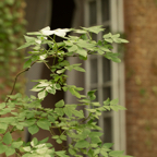 20150627_124652_40585.jpg