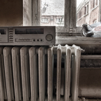 20150627_142522_40673_HDR.jpg