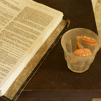 20150627_172353_41084-15.jpg