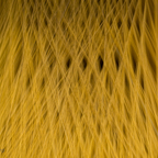 20170128_110309_69857.jpg