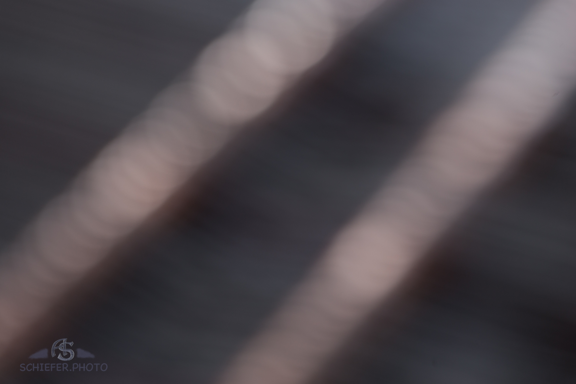 20170128_114018_69965.jpg