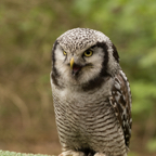 page26-1002-full.jpg