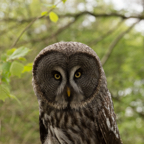 page26-1008-full.jpg