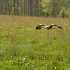 page26-1016-full.jpg