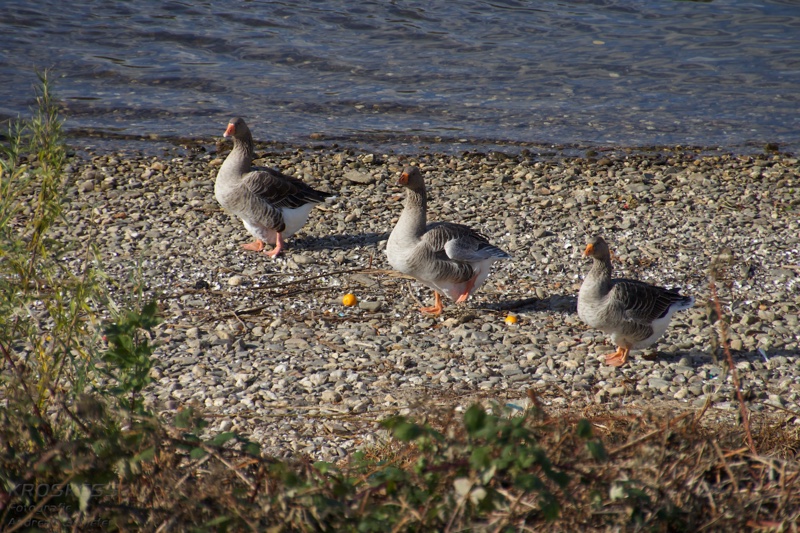 20121010_153215_00873.jpg