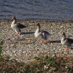 20121010_153215_00873.jpg