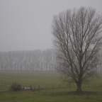 20131214_095434_06965.jpg