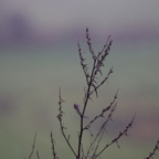 20131214_095807_06968.jpg