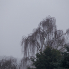 20131214_110034_07003.jpg