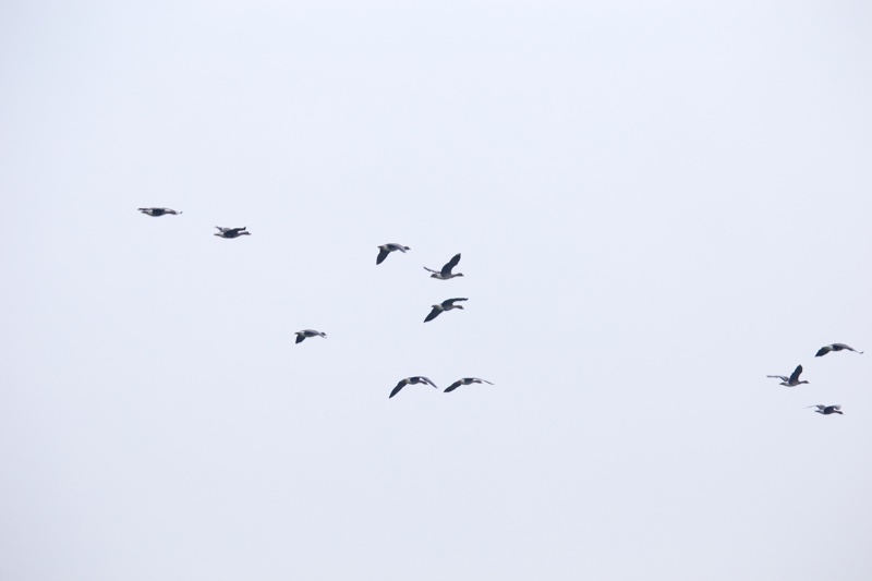 20131214_110941_07014.jpg