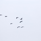 20131214_110941_07014.jpg
