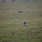 20131214_111306_07030.jpg