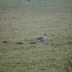 20131214_111330_07032.jpg