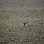 20131214_111449_07037.jpg