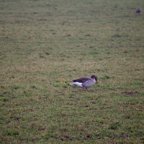 20131214_111451_07038.jpg