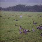 20131214_111554_07042.jpg