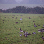 20131214_111554_07043.jpg