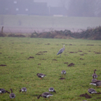 20131214_111630_07044.jpg
