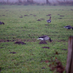 20131214_111738_07046.jpg