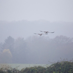 20131214_111812_07049.jpg