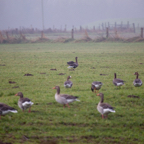 20131214_111820_07052.jpg