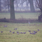 20131214_112159_07058.jpg