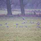 20131214_112351_07060.jpg