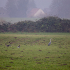 20131214_112542_07065.jpg