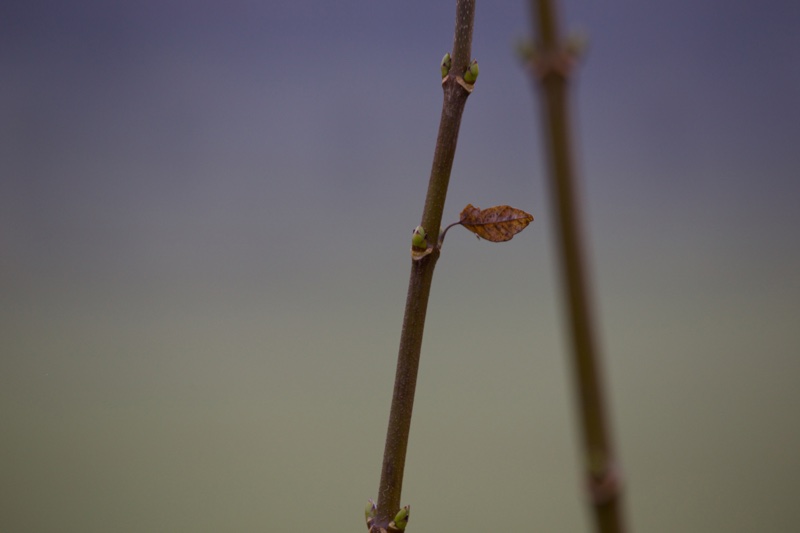 20131214_112822_07083.jpg