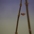20131214_112822_07083.jpg