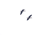20131214_113108_07091.jpg