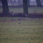 20131214_113628_07111.jpg