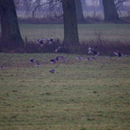 20131214_113628_07112.jpg