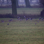20131214_113628_07113.jpg