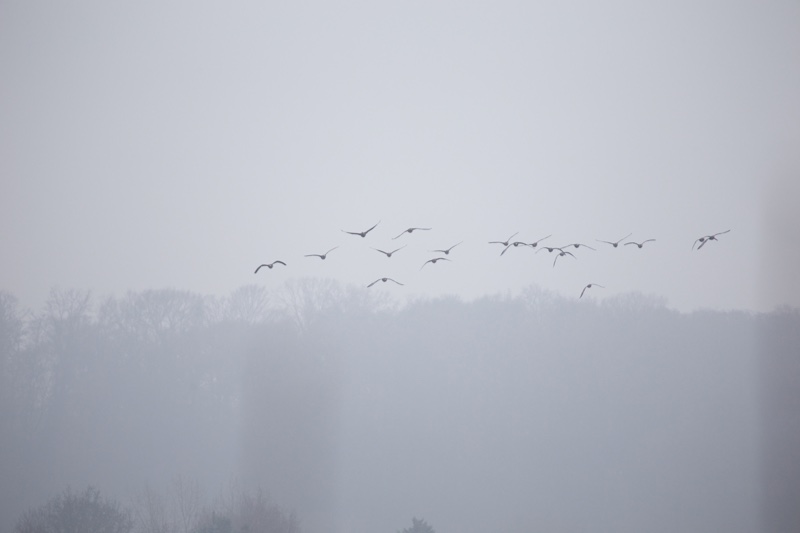 20131214_113655_07116.jpg
