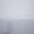 20131214_113655_07116.jpg