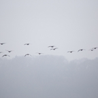 20131214_113700_07117.jpg