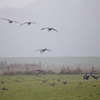 20131214_113716_07124.jpg