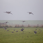 20131214_113717_07125.jpg