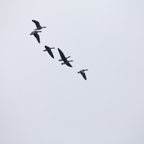 20131214_113823_07129.jpg