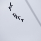 20131214_113824_07130.jpg