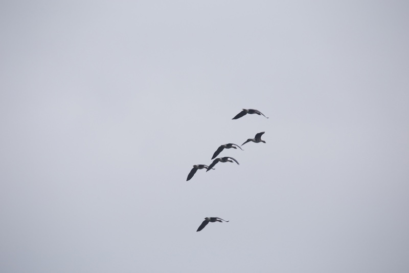 20131214_113831_07132.jpg
